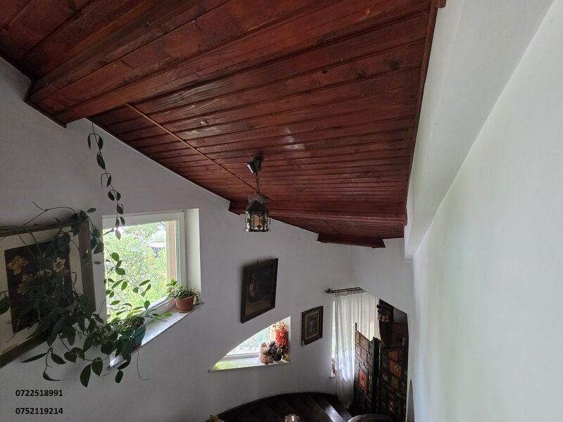 Snagov, Izvorani Vila, la lac,