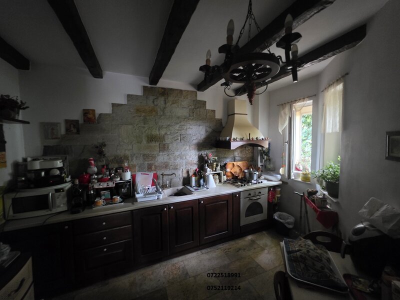 Snagov, Izvorani Vila, la lac,