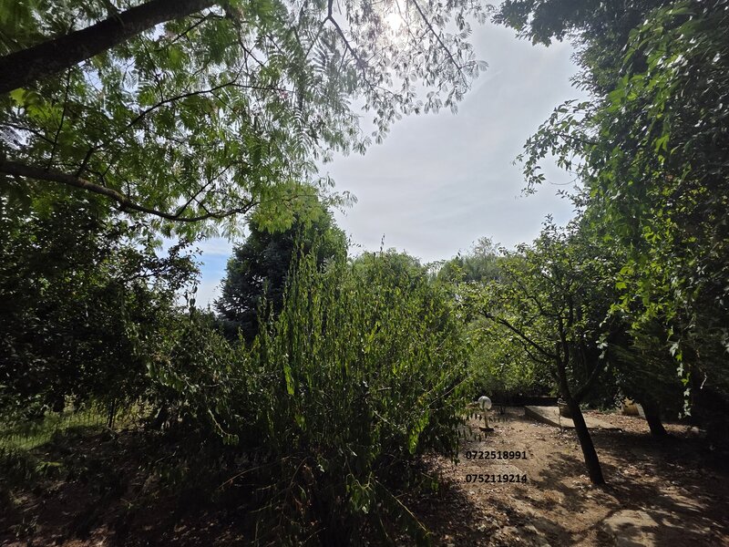 Snagov, Izvorani Vila, la lac,